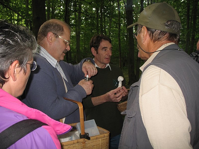 Myco Porte Baudet 03